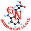 GN Servicios