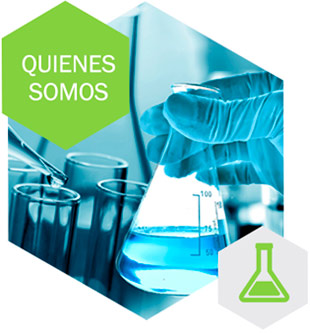 GN Servicios