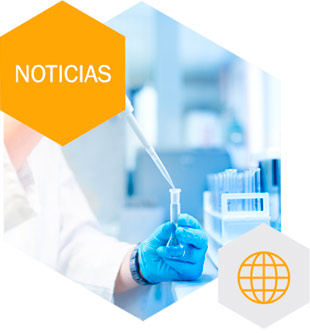 GN Servicios