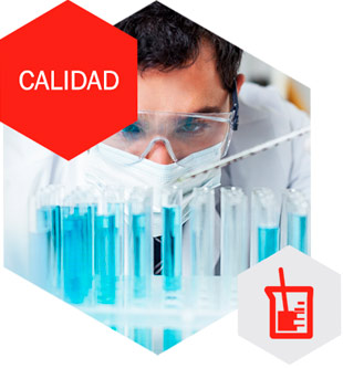 GN Servicios