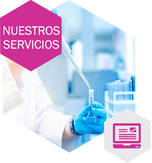 GN Servicios